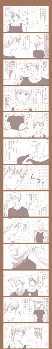 【腐向け】兄さんの鎖骨【ルーギル】