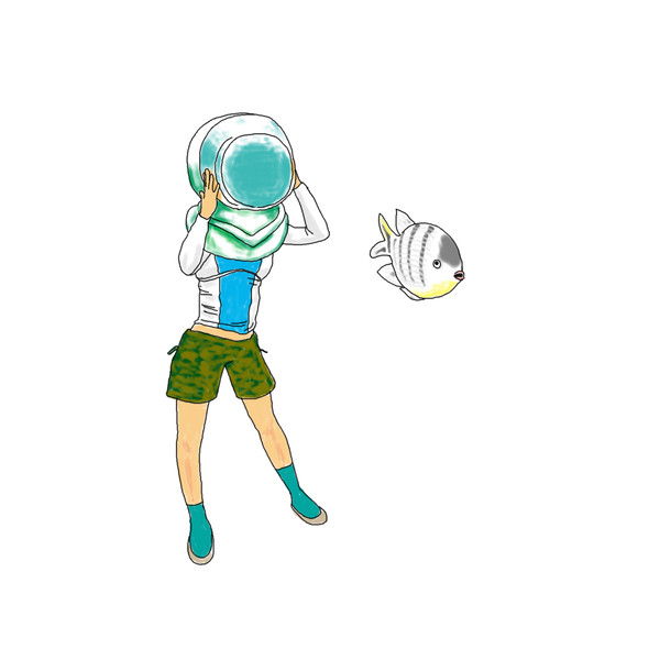 海