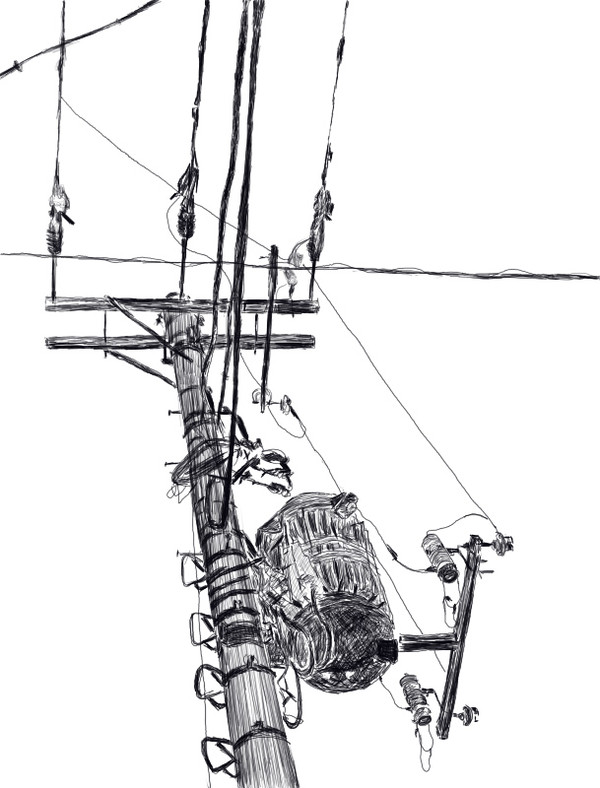 電柱