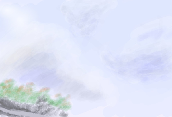 花と空