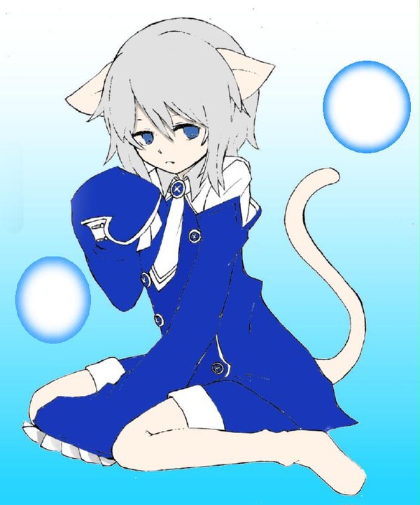 猫エコー