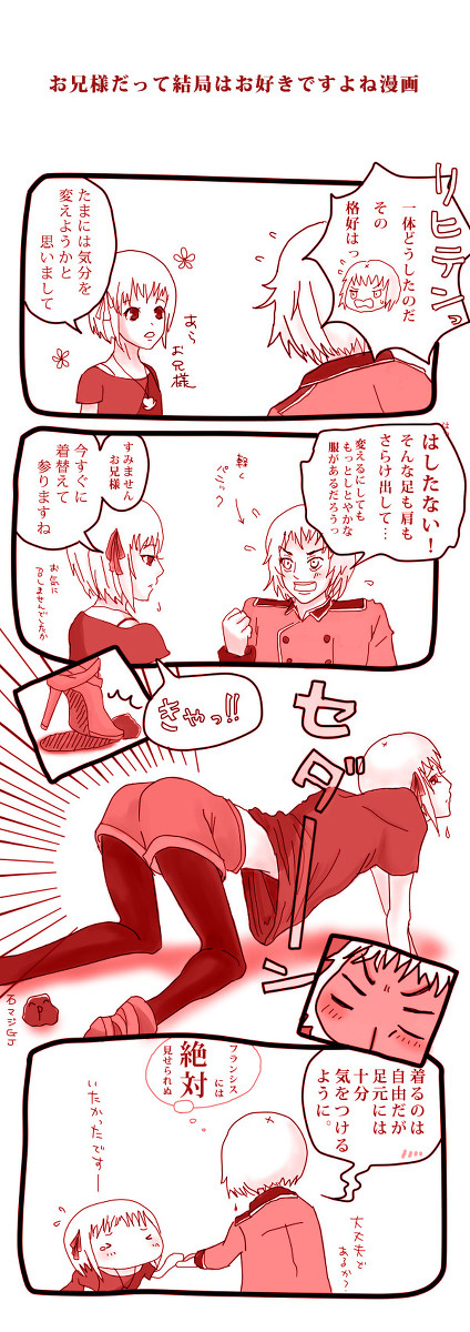 【ヘタリア】お兄様は驚かれたようです【中立兄妹】