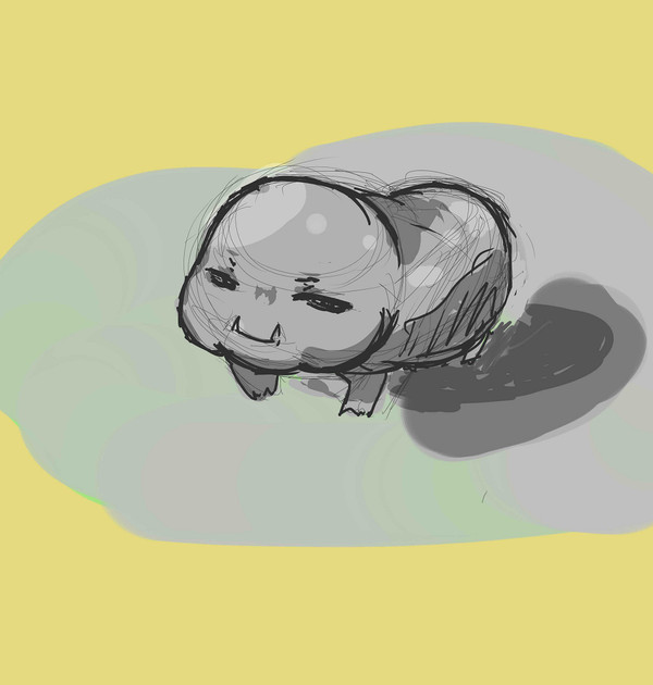 センコロールみてきました