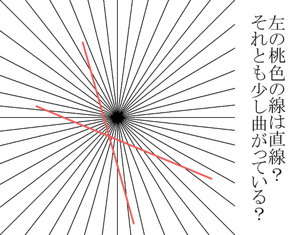 視覚論①「直線？曲線？」