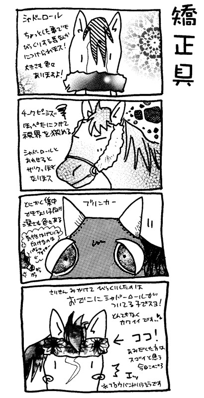 矯正具