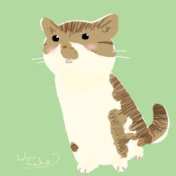にゅわー