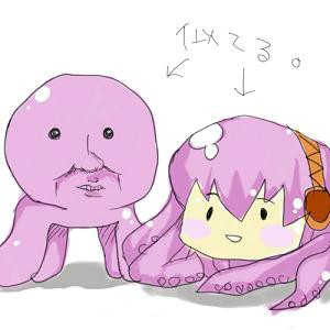 たこ