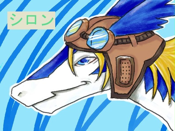 なんか違うよ！！