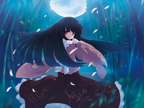 LUNAR TRIPS
