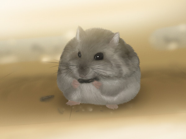 ハム公