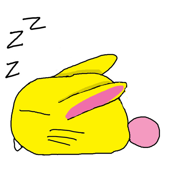 当家のペット　ラビ（睡眠中）