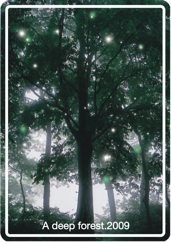 A deep forest.2009