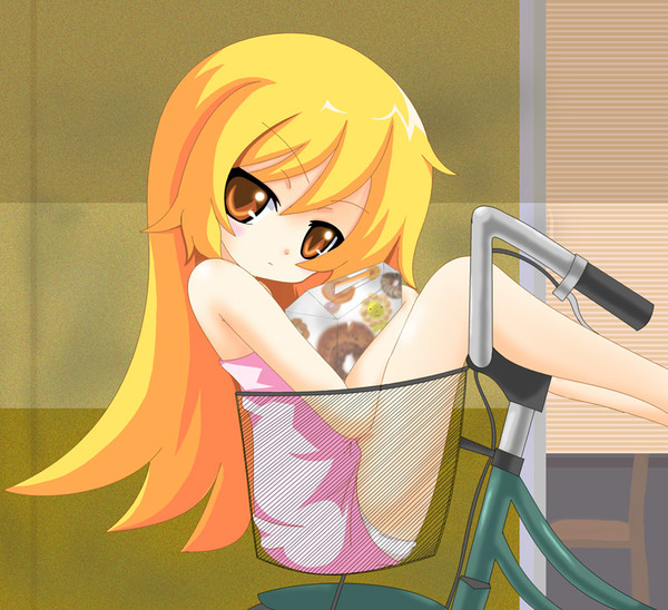 忍ちゃん