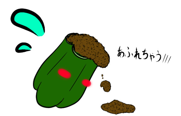 ピーマンに異物挿入