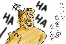 あるふ