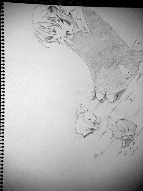 模写