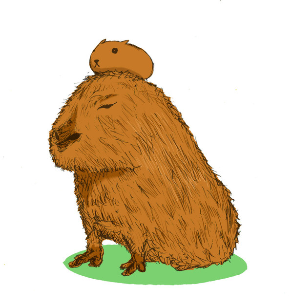 カピバラ氏