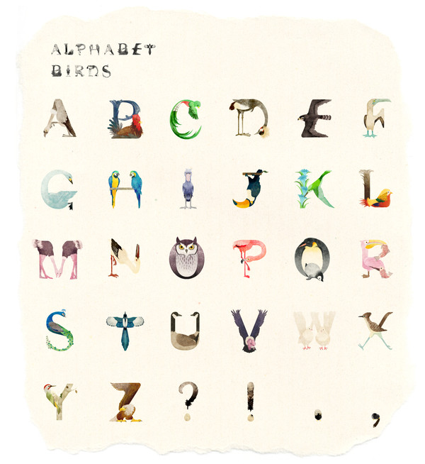 ALPHABET BIRDS