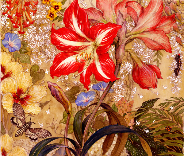Un giardino di Amarillis
