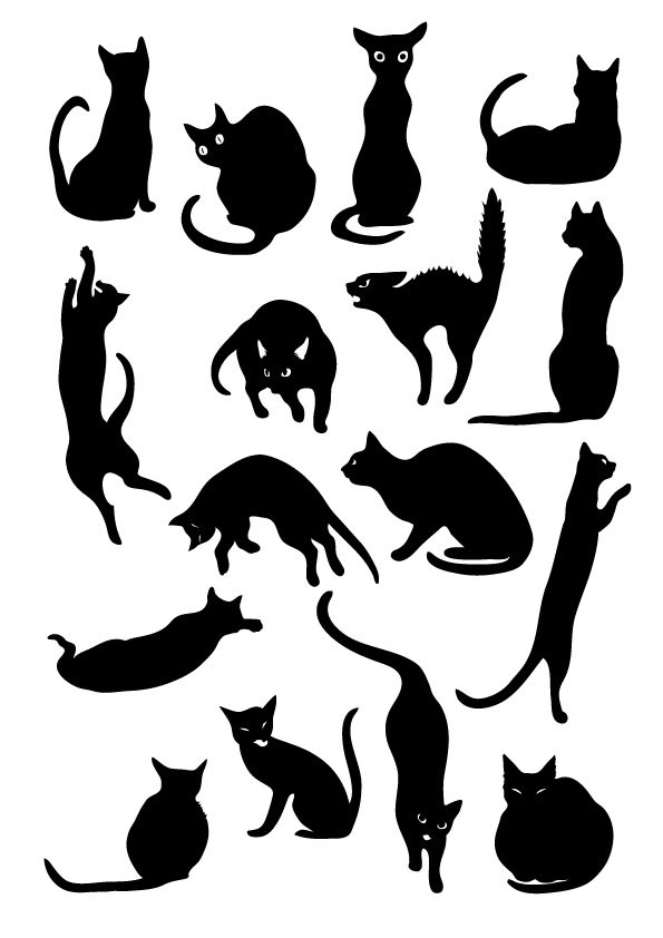 黒猫