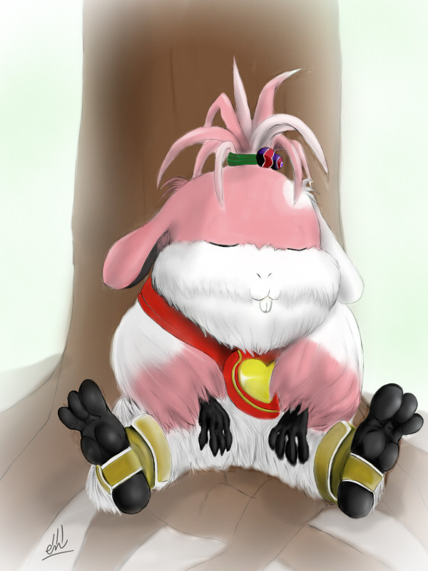 チュチュ
