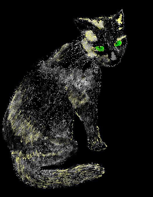 黒猫