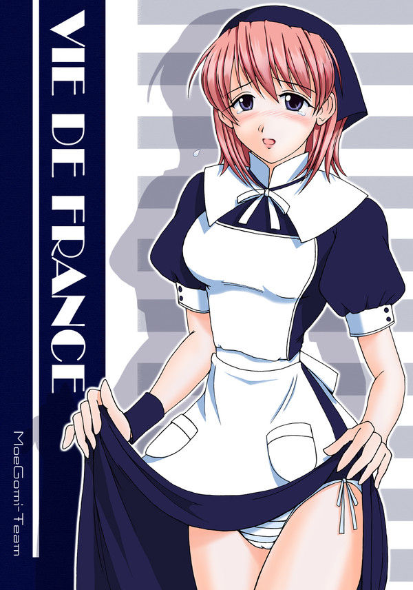 VIE DE FRANCE
