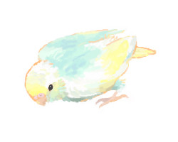 ひな