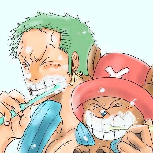 チョッパー ゾロ はみがき