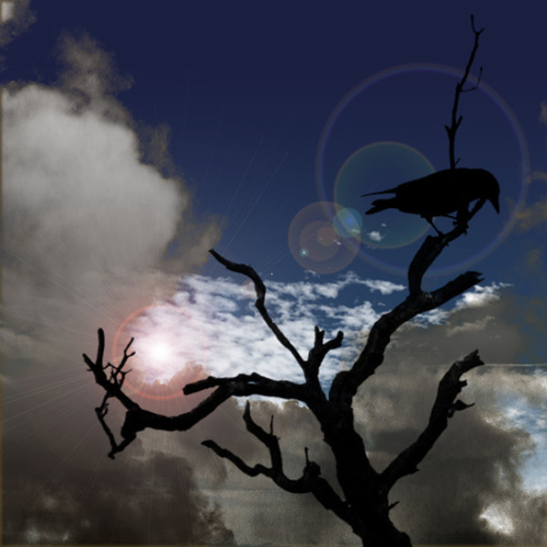 ＣＲＯＷ