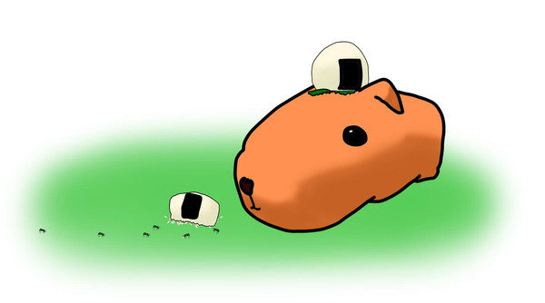 落としちゃった……