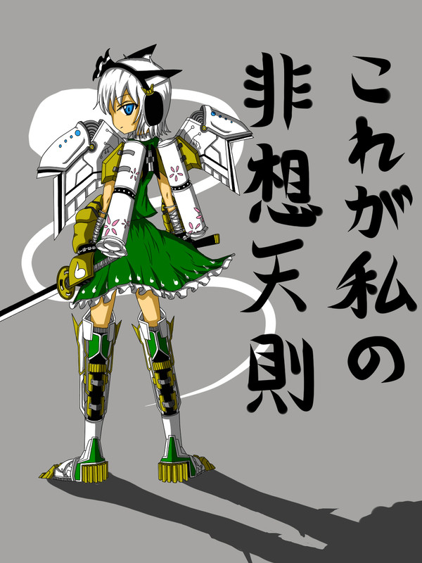 これが妖夢の非想天則