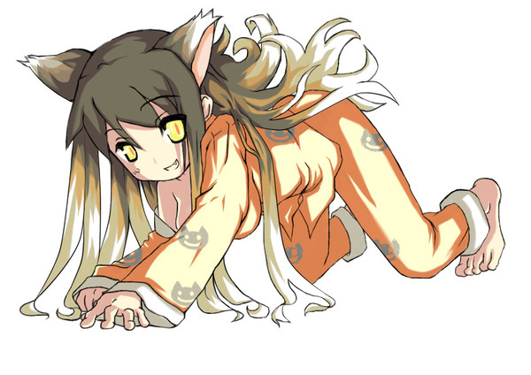 つばさキャット