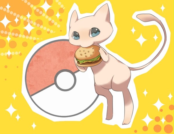 今日の晩飯ハンバーガー！