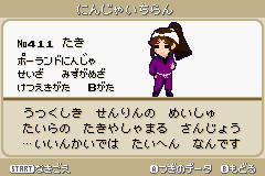 ドット滝