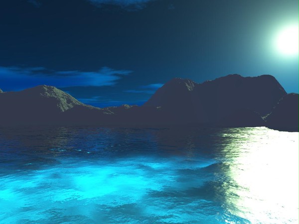 地上を照らし出す希望の月夜