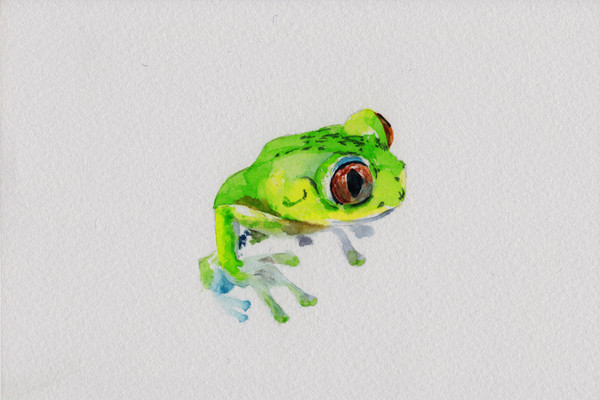 カエル３