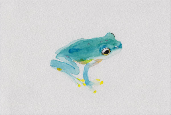カエル２