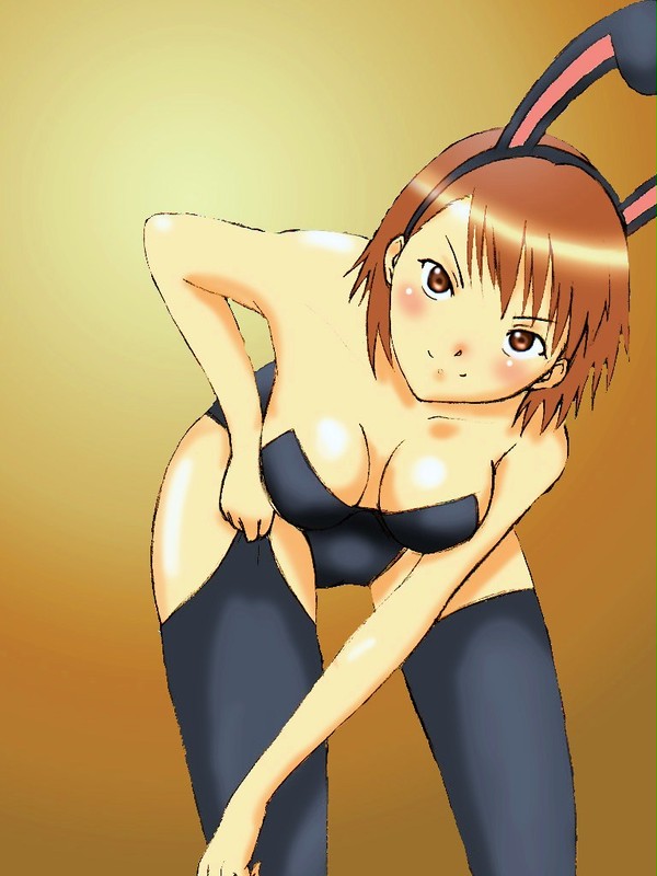 美琴バニー完成