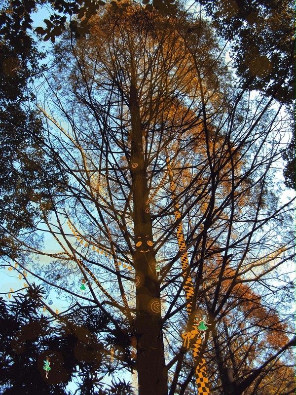 the trees