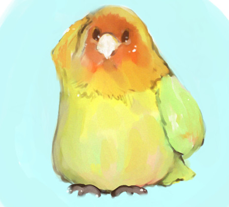 インコ