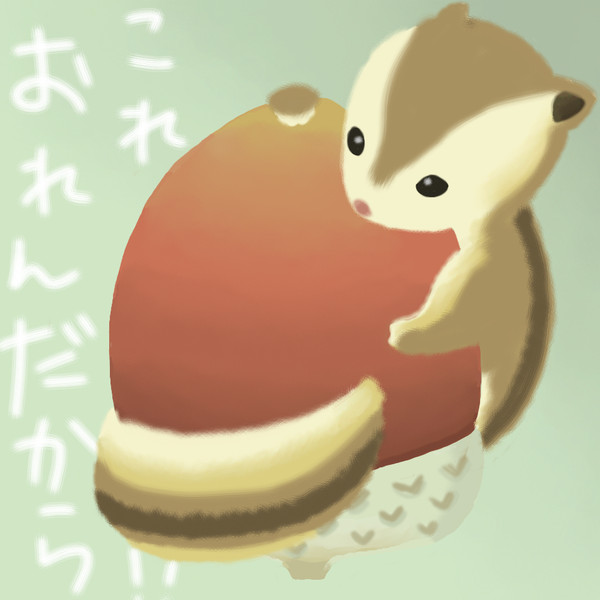 どんぐりす