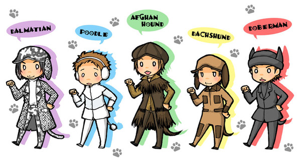 犬