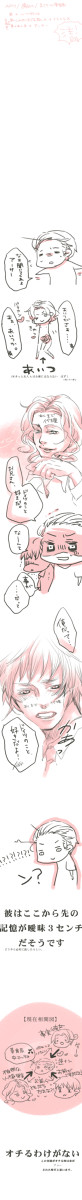 【実録】連立するフラグ【腐向け】