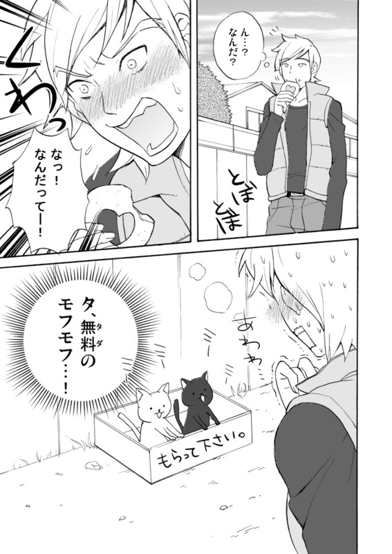 ねこねこファンタジア