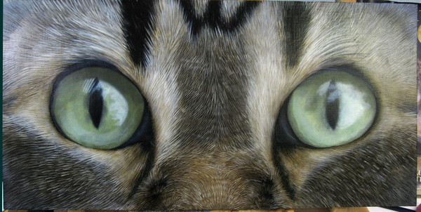 私の猫の眼