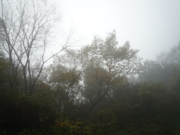 霞み山