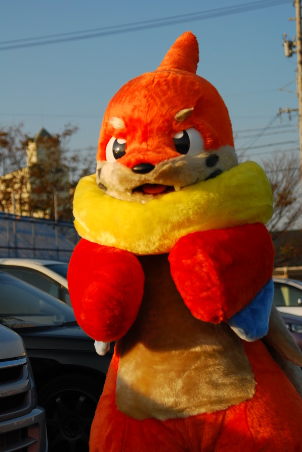 ブイゼルLV5