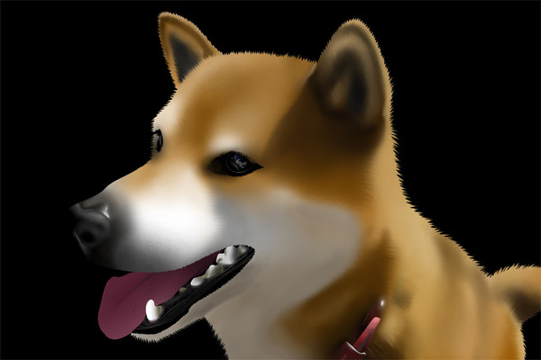 ピコ