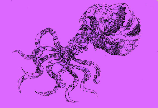 octopus